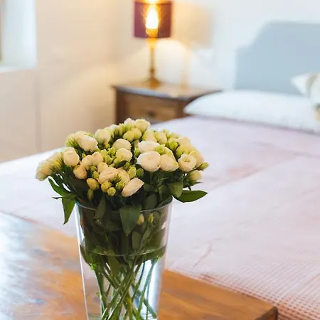 Le Fonti Farm stay *